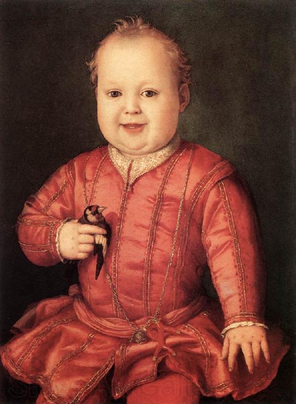 BRONZINO, Agnolo Portrait of Giovanni de Medici Norge oil painting art